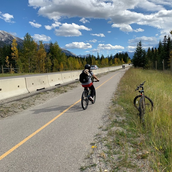 Meet your Posher, Amy - Picture 2 of 2